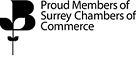 surrey-chambers-of-commerce-CD-land-Surveys